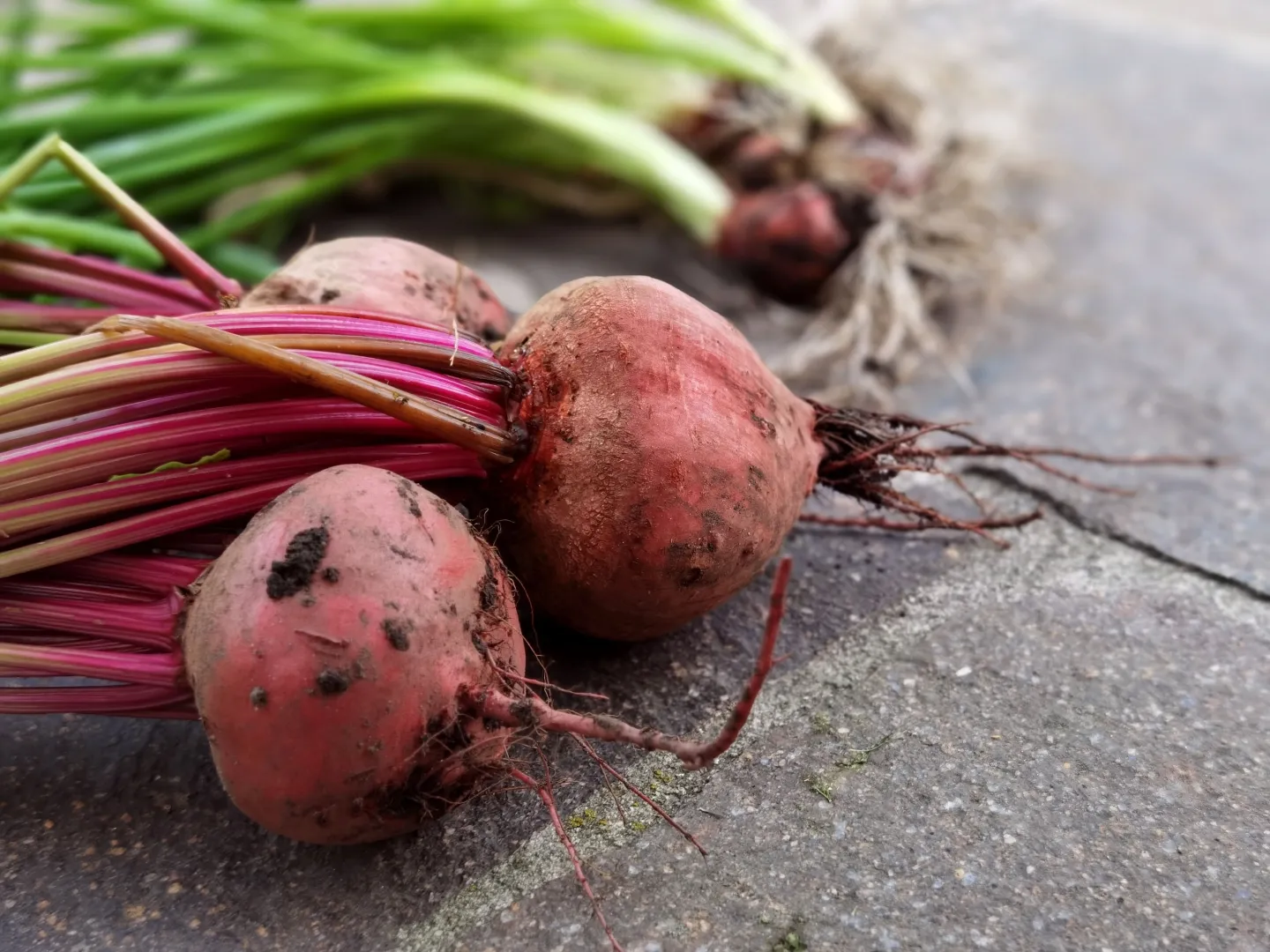 Beetroot