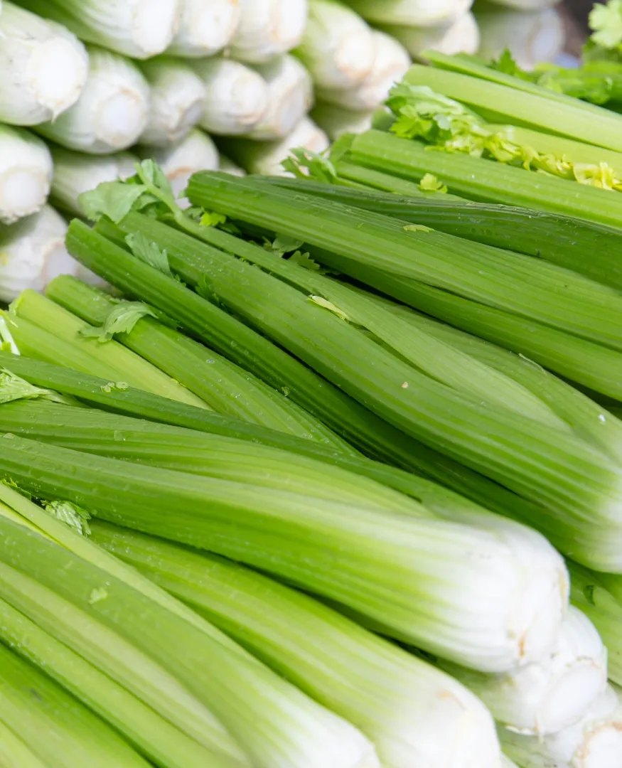 Celery